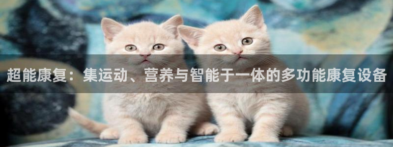 tp官方正版app娱乐首页网站大全：超能康复：集运动