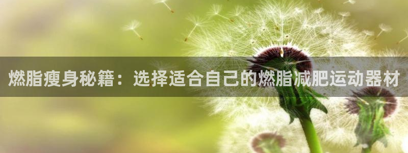 tp官方正版app集团E.ON：燃脂瘦身秘籍：选择适