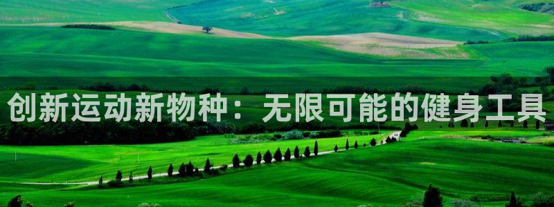 tp官方正版app五金厂：创新运动新物种：无限可能的