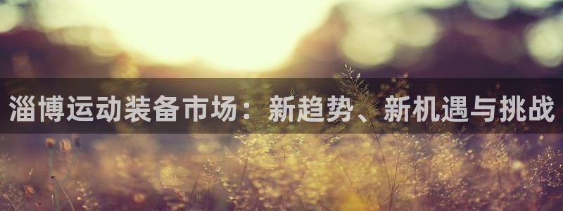 tpwallet官网下载开户：淄博运动装备市场：新趋势、新机