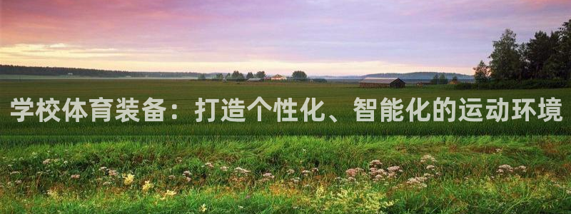 tpwallet官网下载娱乐：学校体育装备：打造个性化、智能