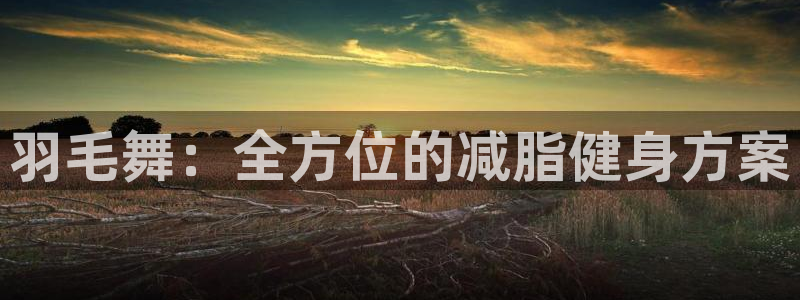 tp官方正版app新能源：羽毛舞：全方位的减脂健身方案