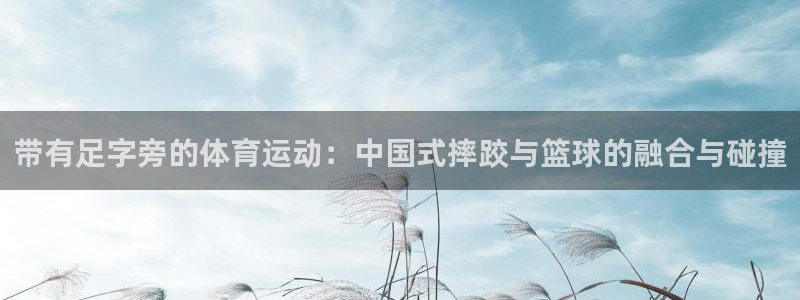 风速体育下载：带有足字旁的体育运动：中国式摔跤与篮球的融合与碰撞