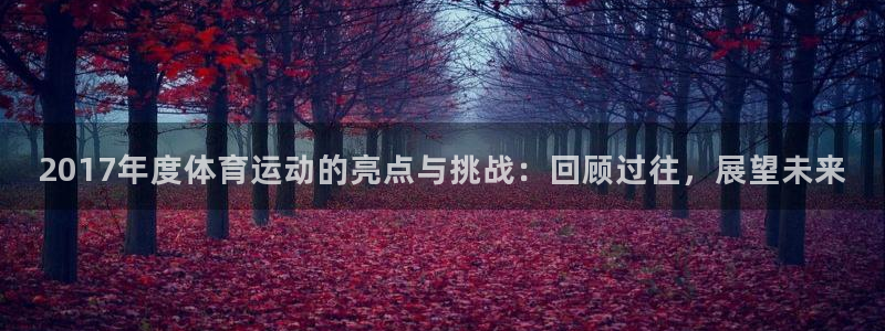 风速体育app：2017年度体育运动的亮点与挑战：回顾过往，展望未来