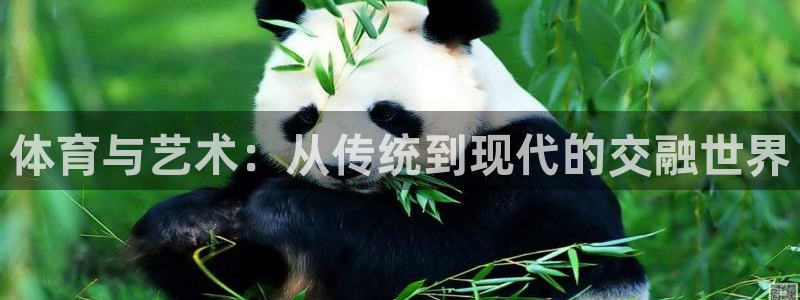 风速体育下载：体育与艺术：从传统到现代的交融世界
