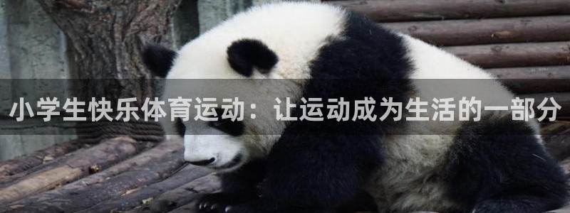 风速体育app：小学生快乐体育运动：让运动成为生活的一部分