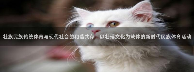 风速体育下载：壮族民族传统体育与现代社会的和谐共存：以壮瑶文化为载体的新时代民族体育活动