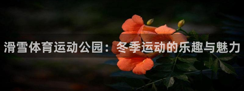 风速体育直播：滑雪体育运动公园：冬季运动的乐趣与魅力