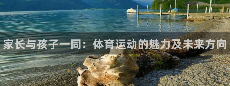 风速体育下载：家长与孩子一同：体育运动的魅力及未来方向