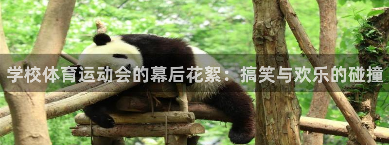 风速体育app下载官网最新版：学校体育运动会的幕后花絮：搞笑与欢乐的碰撞